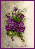 Violettes et tendres pens&eacute;es d'affection